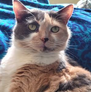 Meet your Posher, Patrice